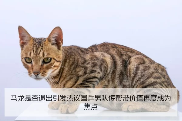 ma-long-shi-fou-tui-chu-yin-fa-re-yi-guo-ping-nan-dui-chuan-bang-dai-jia-zhi-zai-du-cheng-wei-jiao-dian-2-923.jpg