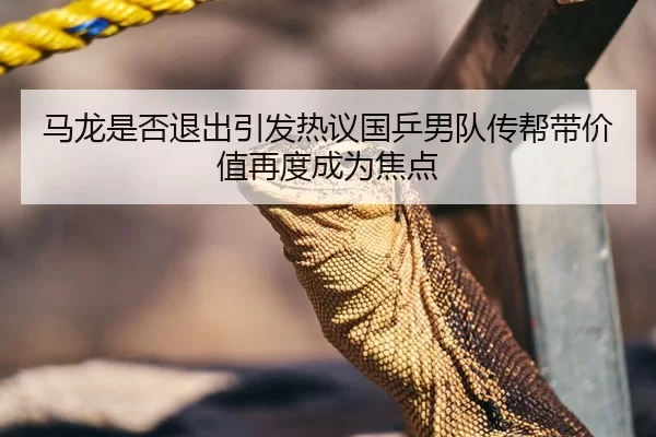 马龙是否退出引发热议国乒男队传帮带价值再度成为焦点