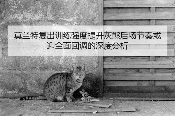 莫兰特复出训练强度提升灰熊后场节奏或迎全面回调的深度分析