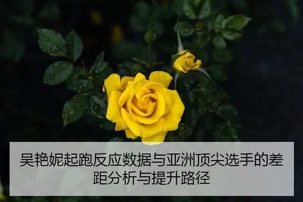 wu-yan-ni-qi-pao-fan-ying-shu-ju-yu-ya-zhou-ding-jian-xuan-shou-de-cha-ju-fen-xi-yu-ti-sheng-lu-jing-2-306.jpg