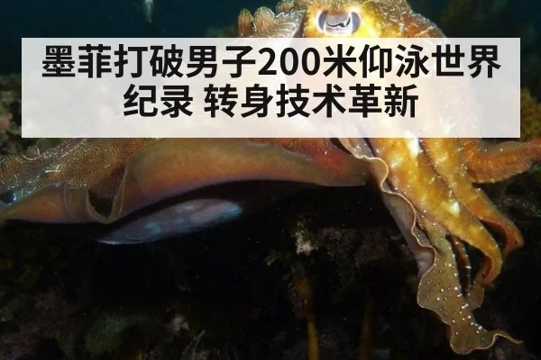 墨菲打破男子200米仰泳世界纪录 转身技术革新