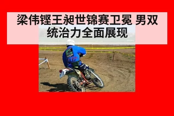 梁伟铿王昶世锦赛卫冕 男双统治力全面展现