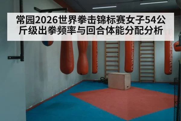 boxing ring punching bag
